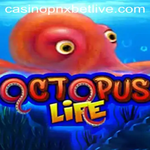 Discover the Thrilling World of OctopusLife and PNXBET Live Casino